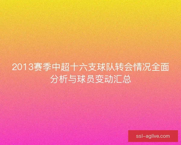 2013赛季中超十六支球队转会情况全面分析与球员变动汇总